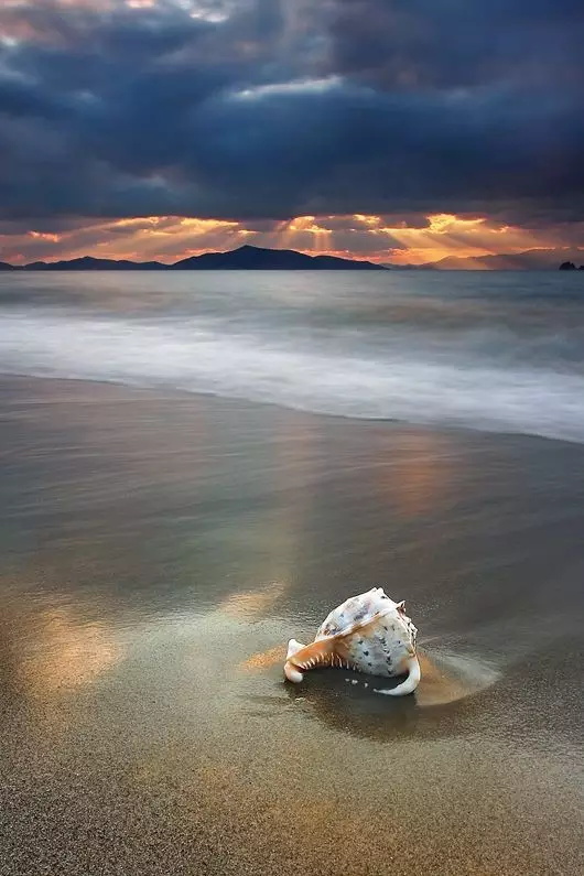 构图在摄影中的到底有哪些作用？