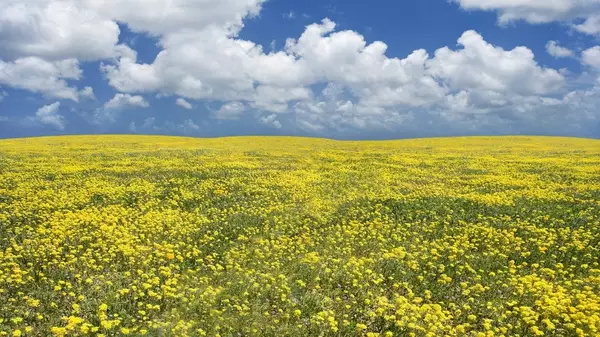 构图在摄影中的到底有哪些作用？