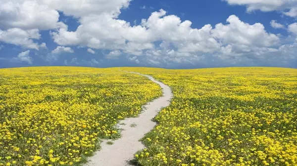 构图在摄影中的到底有哪些作用？