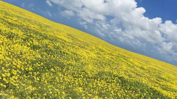 构图在摄影中的到底有哪些作用？